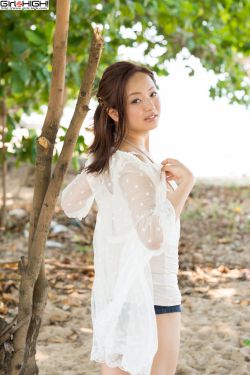 小警风云之从警记